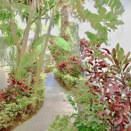 Casa Colibri Cumbres Jardin Villa